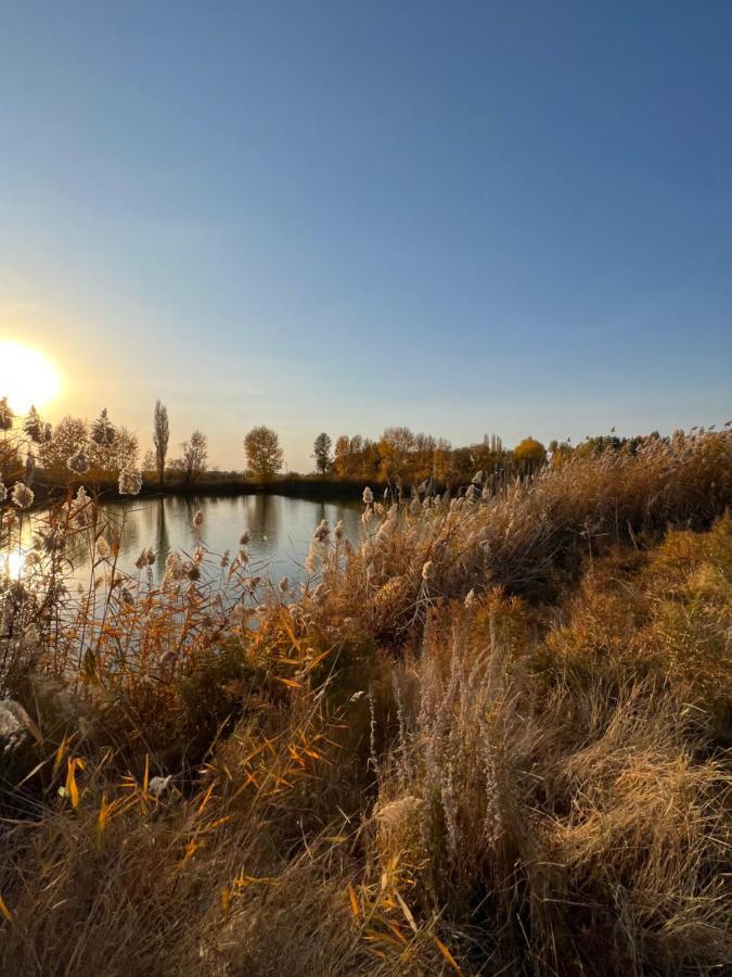 Чистые Пруды Bishkek Exterior foto