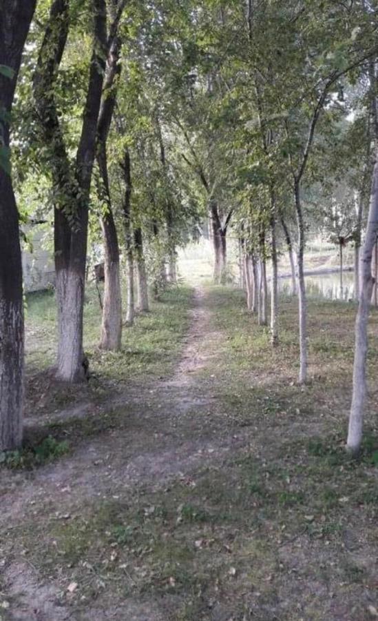 Чистые Пруды Bishkek Exterior foto