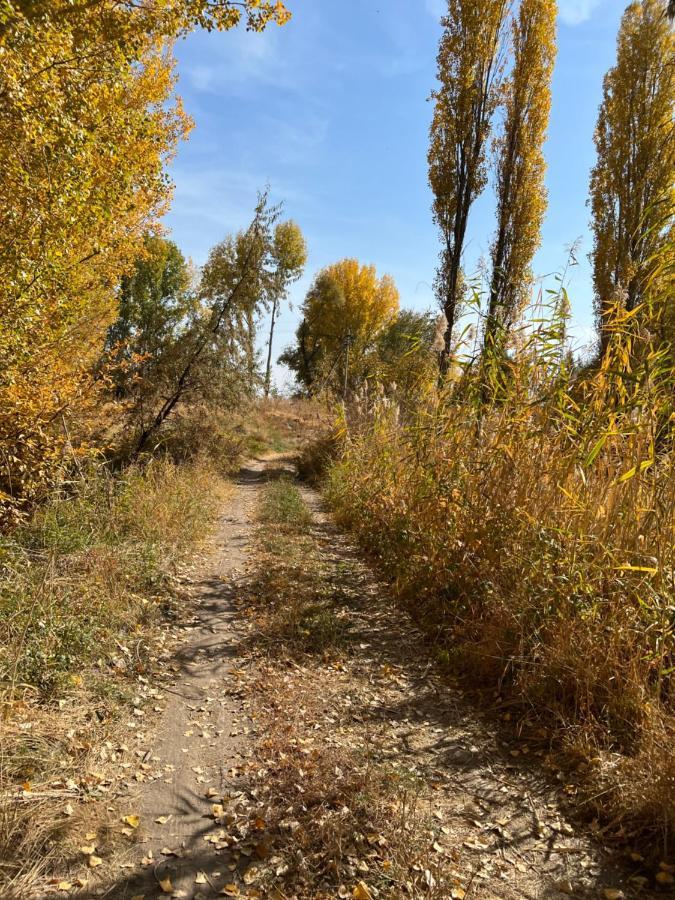 Чистые Пруды Bishkek Exterior foto