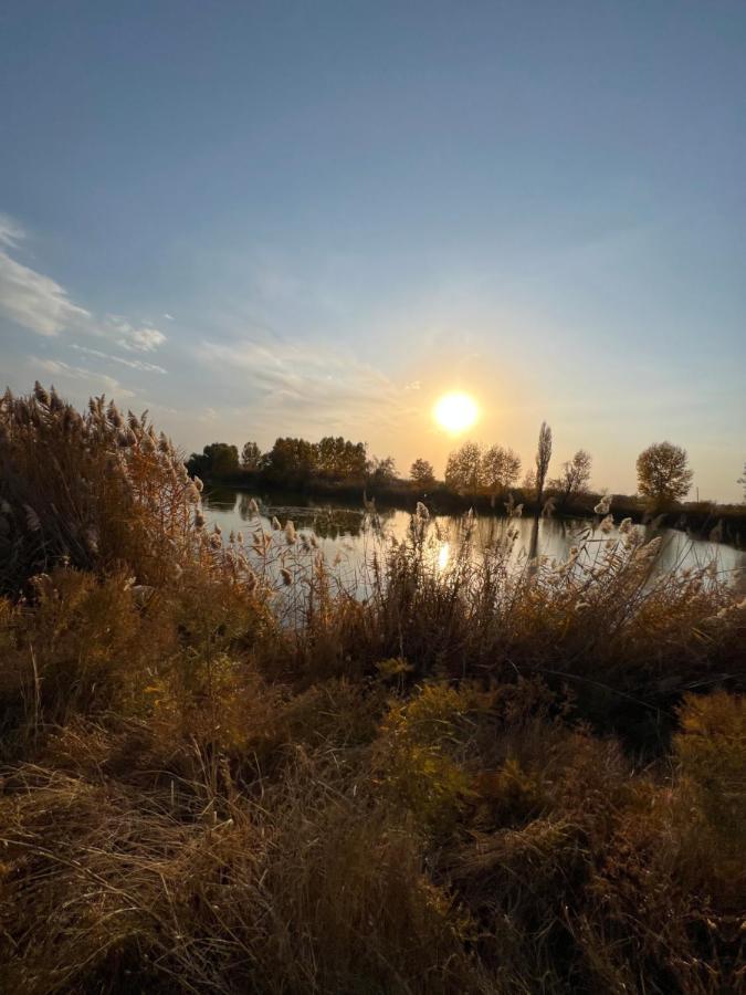 Чистые Пруды Bishkek Exterior foto
